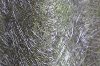 Hunderton fibreglass roof work